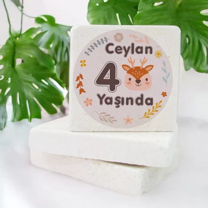 Kişiye Özel 4 Yaş Geyik Tasarımlı Taş Magnet 15 Adet