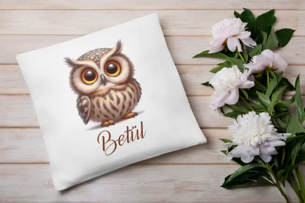 Kişiye Özel Baykuş Figürlü Yastık – 40x40 cm Elyaf Dolgulu
